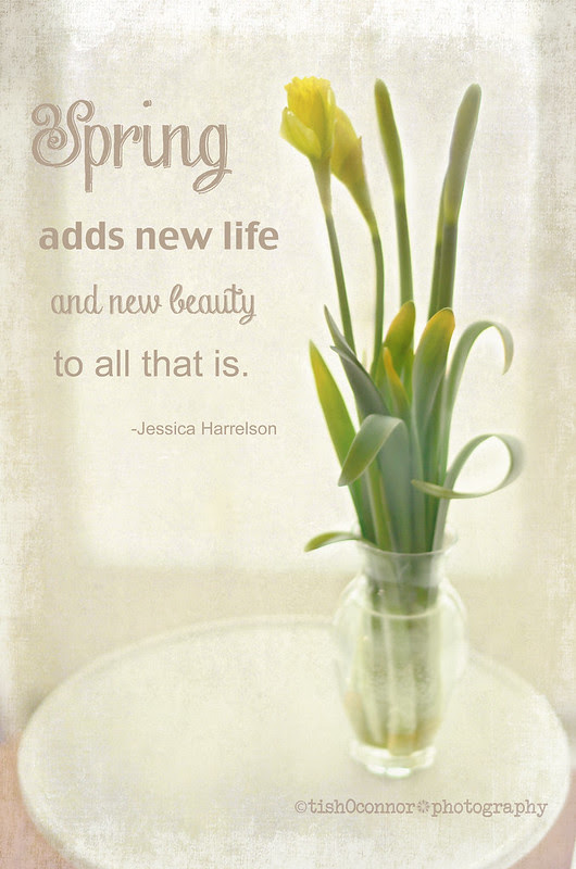 Daffodils in vase DSC_1677withquote