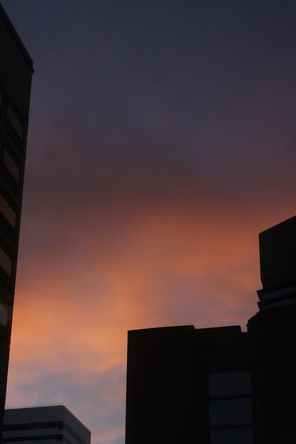 february sunset