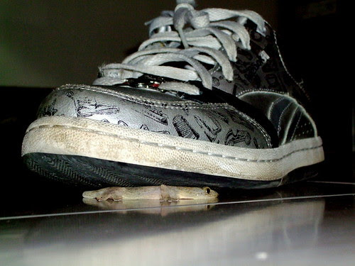 In my shoes, what would you do?