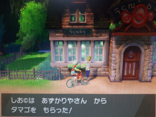 ポケモン剣盾 孵化まとめとマクロ式孵化方法とは 塩 わい的ポケ色廃人