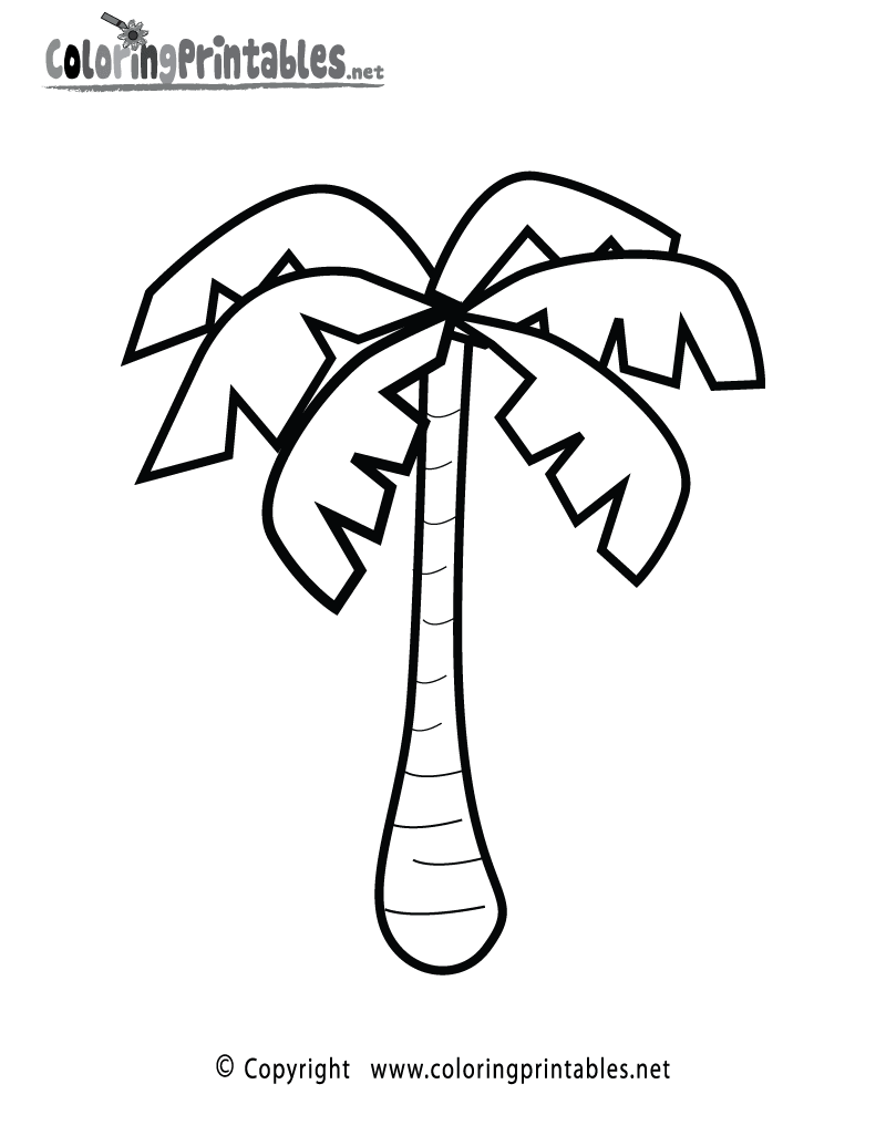 Free Palm Tree Coloring Pages To Print Download Free Palm Tree Coloring Pages To Print Png Images Free Cliparts On Clipart Library