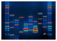 Micah's DNA par micahb37