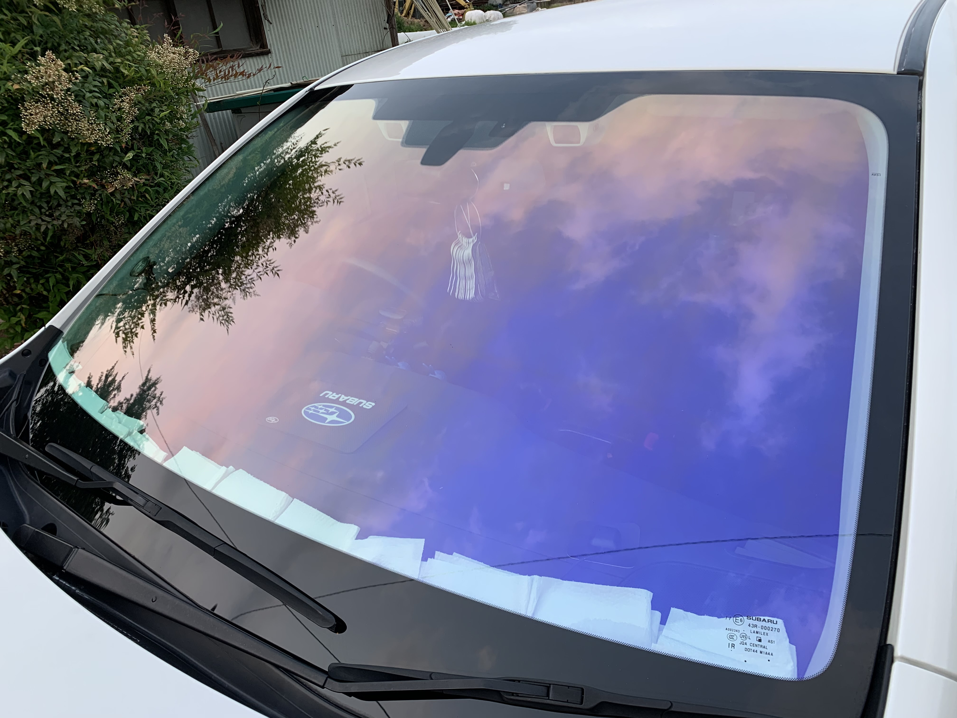 カーフィルム Cloverheart クローバーハート