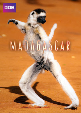 Madagascar - Season 1