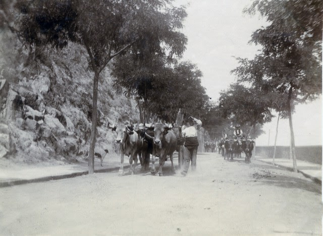 Calle Gerardo Lobo en junio de 1905. Fotógrafo anónimo. Colección Luis Alba. Ayuntamiento de Toledo