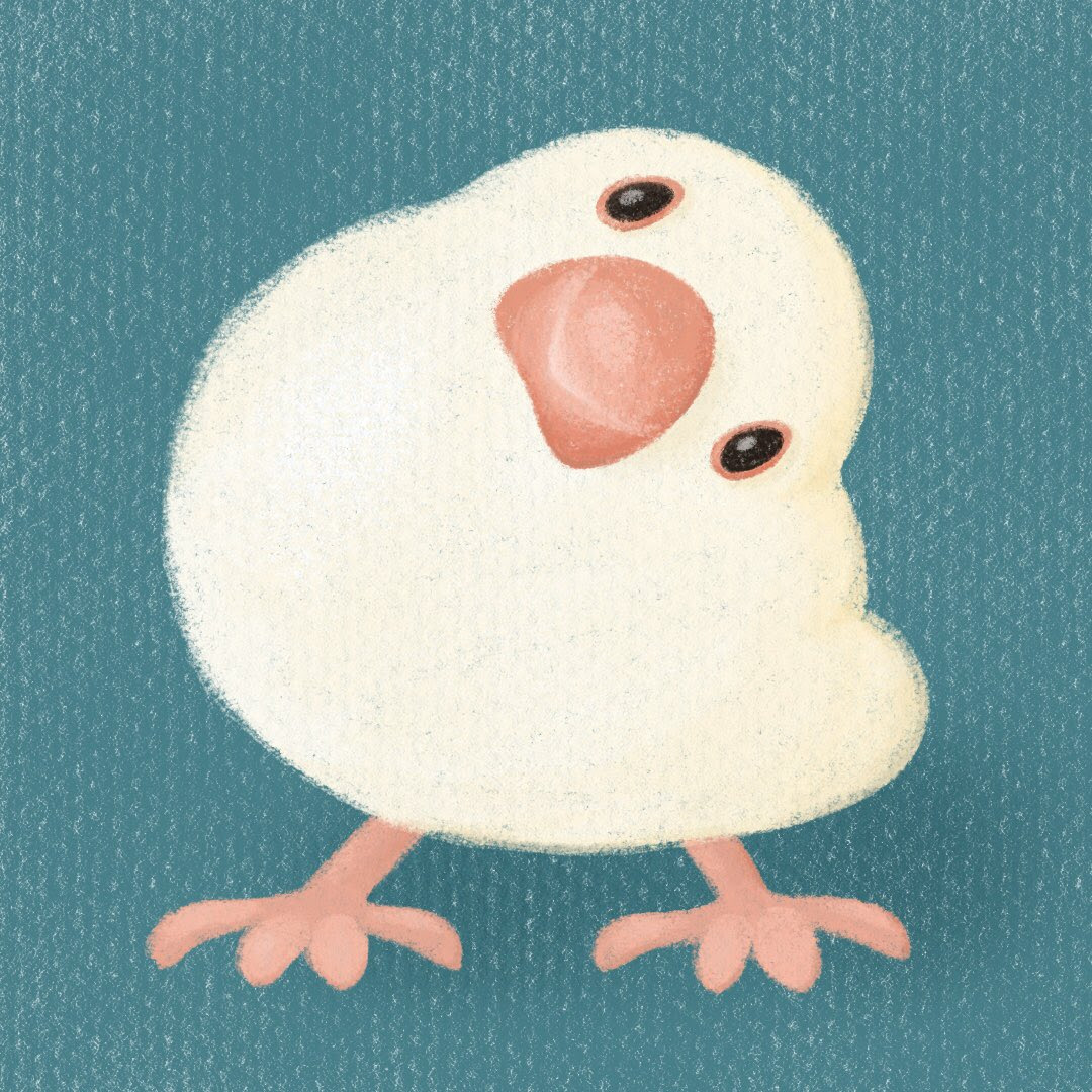 文鳥 In 今日は文鳥です かわいいイラスト 動物イラスト 鳥 文鳥 ぶんちょう 小鳥 Javasparrow