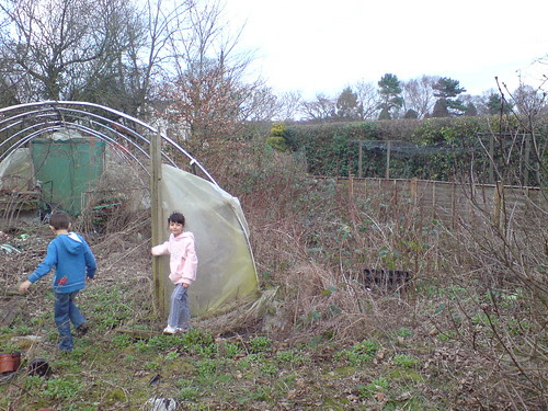 Vegetable patch?