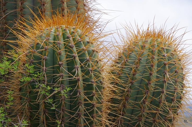 Fun & Info @ Keralites.net