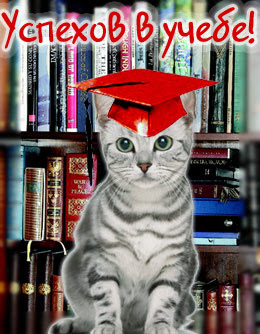 Учебка связи в/ч 42731,Ульяновск.Призыв осень-зима 2013 продолжение-11