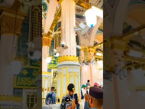 #madinah 🫀 #masjidnabawi #reels #trending #instagram.