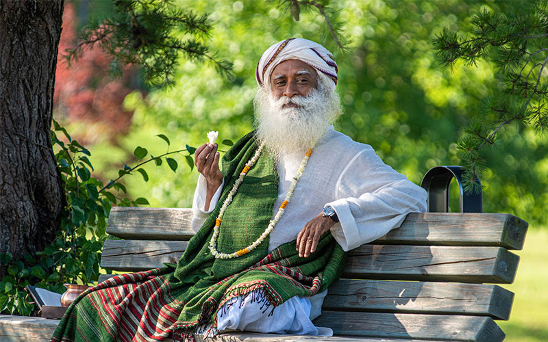 Mystic Quote - Sadhguru