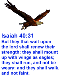Soaring