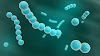 Como identificar a infecção por Strep A que já matou 9 crianças