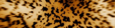 Create your own Photoshop Textures