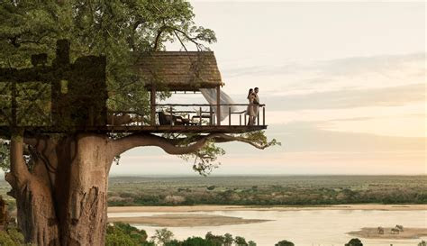Deputy fatally shot in houston. Top 20 Beautiful And Amazing Tree House Wallpapers,Pics