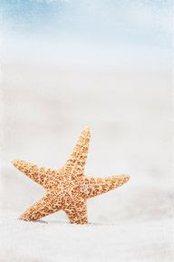 Beach Theme Decorating Ideas