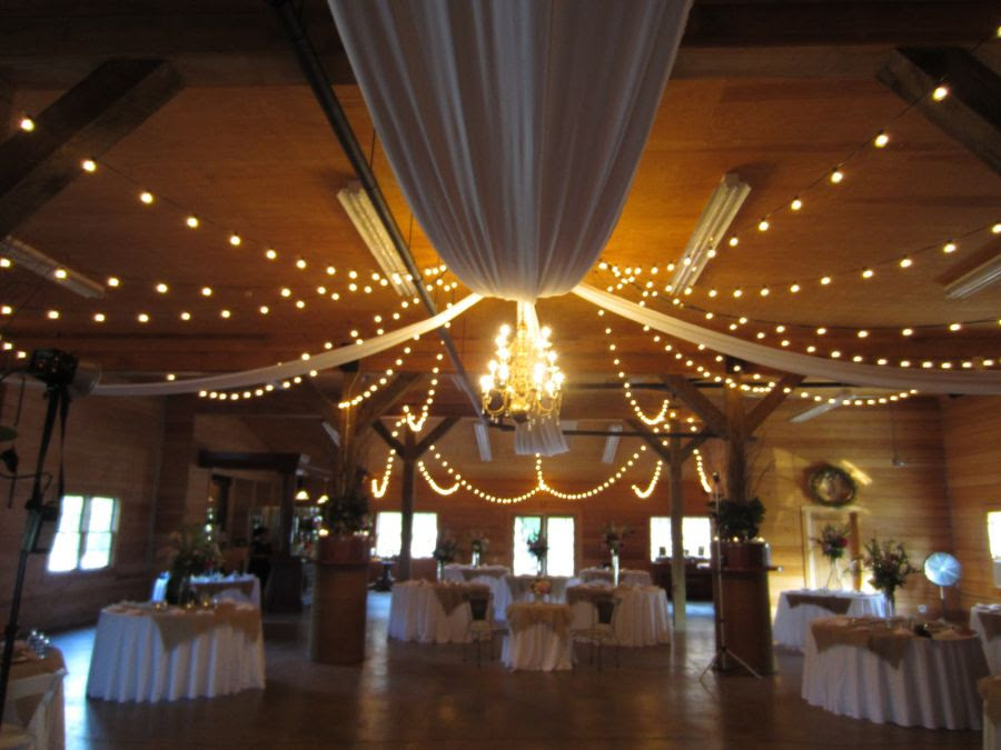 Say "I Do" to These Fab 51 Rustic Wedding Decorations