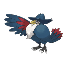 Black bird