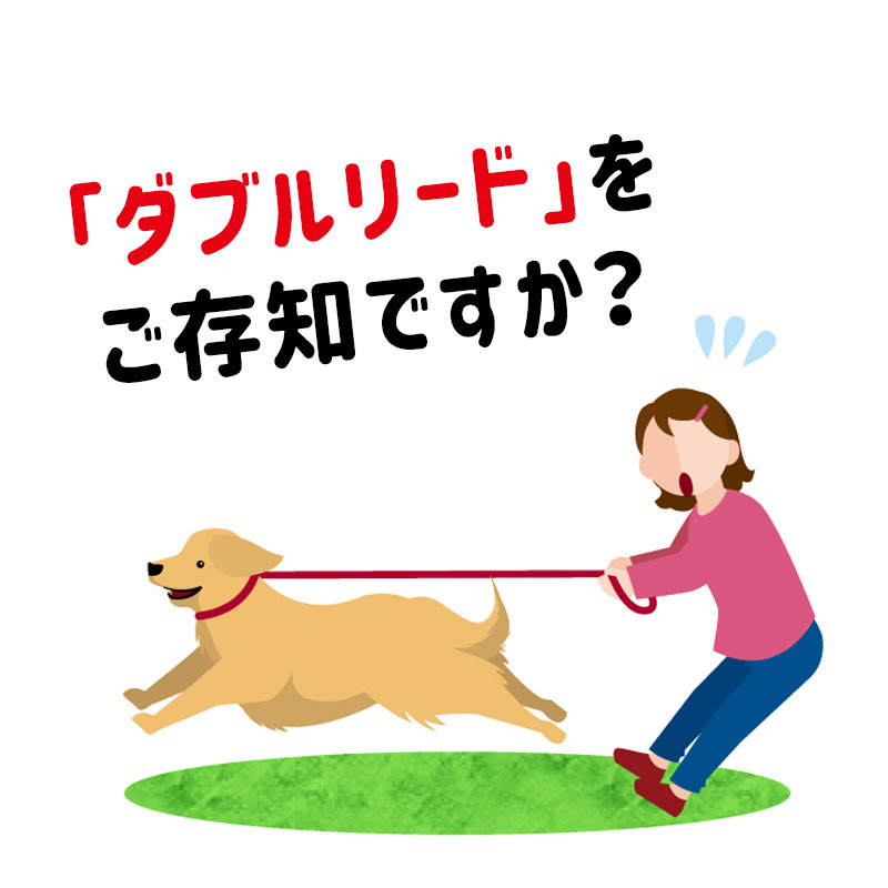 お出かけ時の ダブルリード で愛犬も飼い主さんも安心 ダブルリードのメリットと注意点