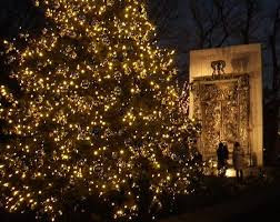 クリスマスにオススメの飾り付け 家や庭のイルミネーションについて 庭の未来net