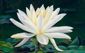 images (1)