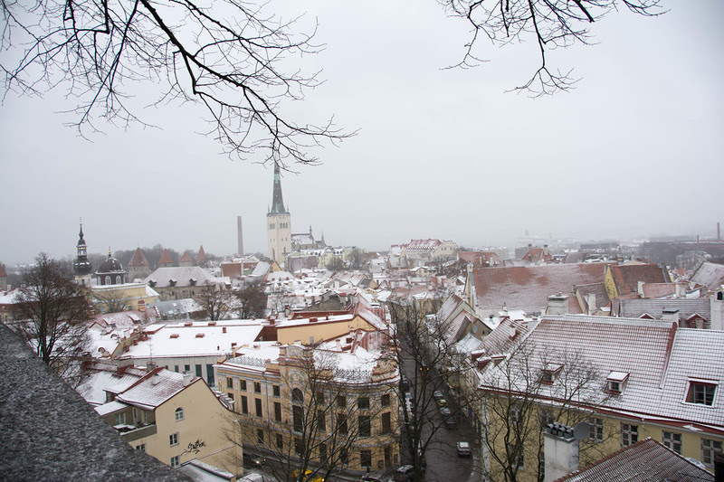 24 hours in tallinn estonia