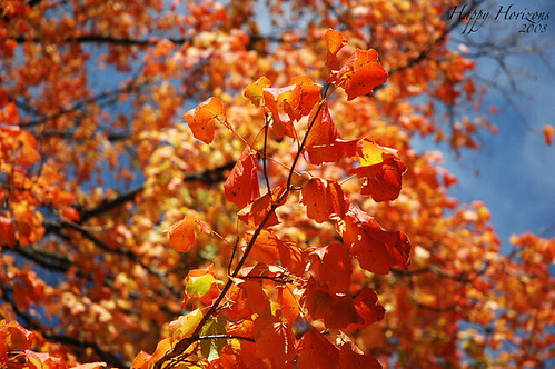O ' Fall..