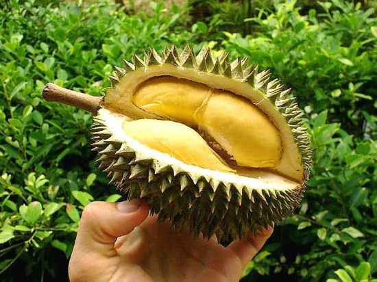 20 More Fruits You Probably Don't Know - Listverse