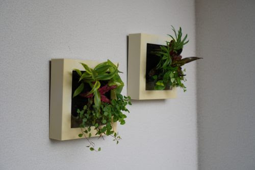 Green Zoom配信の背景を 観葉植物でアップグレードしてみました 長月 Nagatsuki 岐阜県各務原市の夫婦ユニット