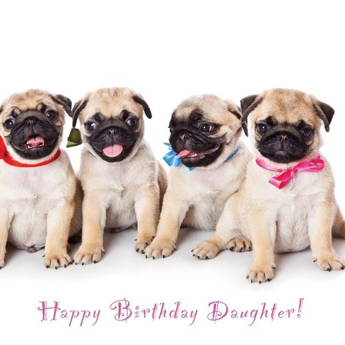 Maison Joyeux Anniversaire Vide Carte De Vœux Chiens Chiots Beaucoup De Conceptions Mignonnes Pour Voir Fetes Occasions Speciales