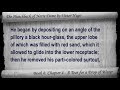 Video Book 06 - Chapter 4 - The Hunchback of Notre Dame by Victor Hugo