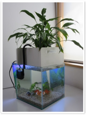 せせらぎ室内ビオトープ２５cm型 水槽 ろ過装置 照明セット 新商品 Shop 東広島市のガーデンスタジオ コピス