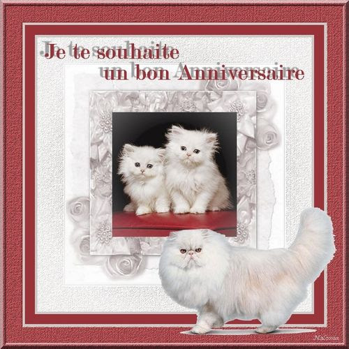 Carte Anniversaire Chats Les Creas De Naloma