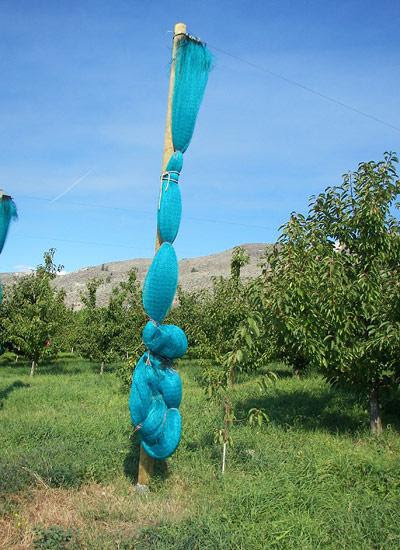 Fruit Tree Netting - Smart Net Systems - Industrial ...