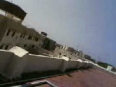 enjoying kite flying on makar sankranti