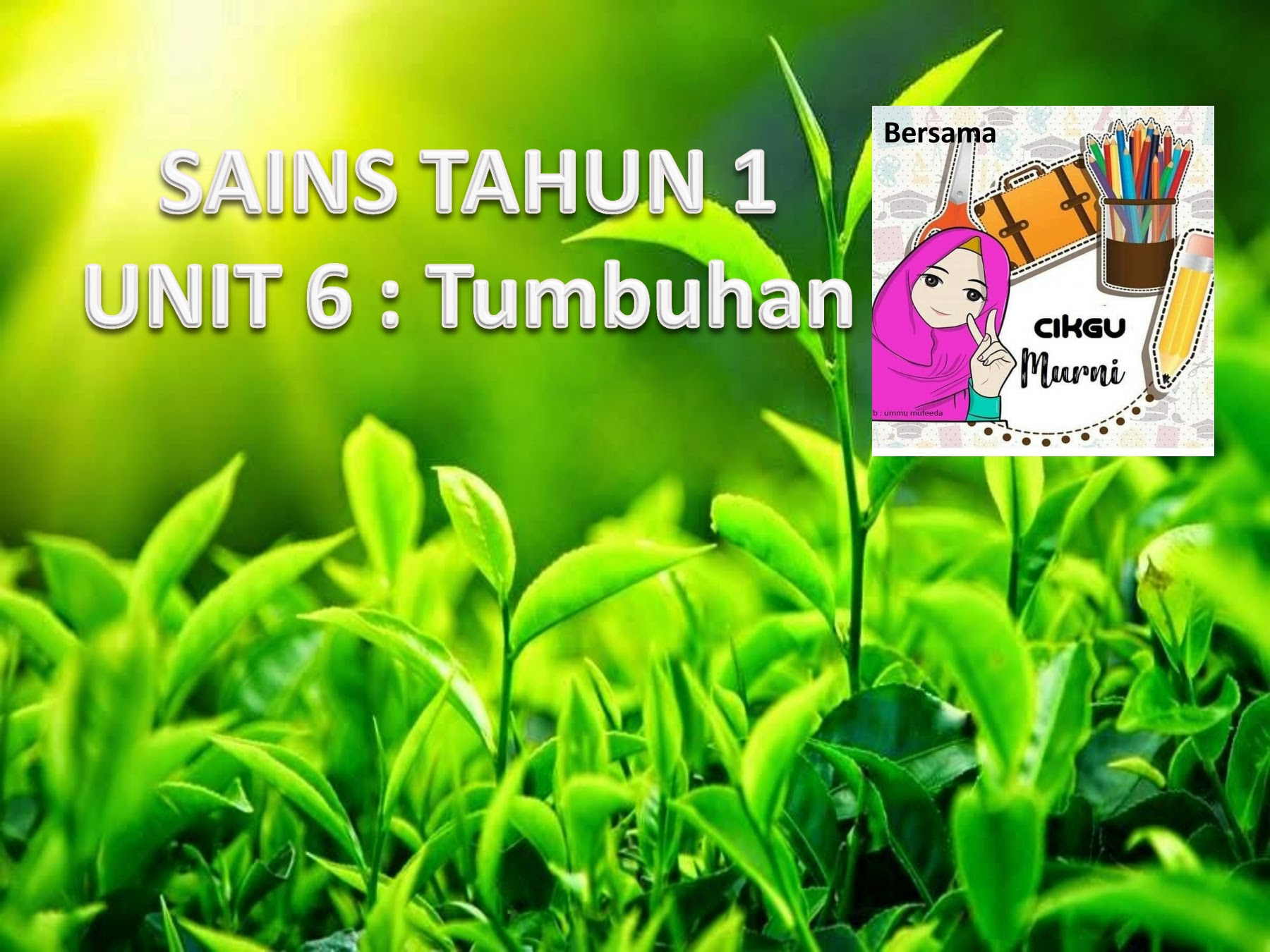 Sains Tahun 1 Tumbuhan  Sains Tahun 1 Worksheet  Kepentingan bahagian