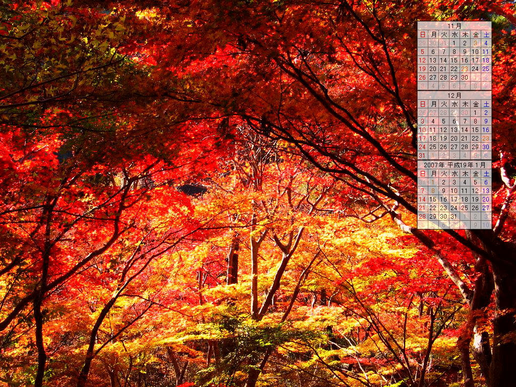 紅葉の壁紙写真 06年秋のデスクトップ無料壁紙カレンダー 兵庫と神戸の写真ブログ