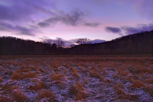 Forest 44 Conservation Area, near Valley Park, Missouri, USA - open field at dusk