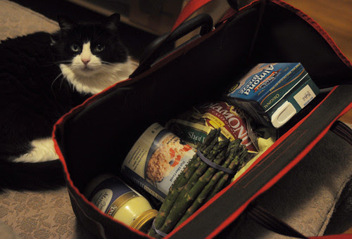 Peppy & Brompton Shopper
