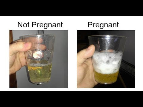 Homemade Pregnancy Test With Shampoo Video Pregnancy Test