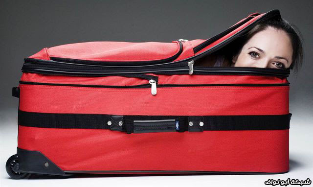 أرقام قياسية من موسوعة قينيتس