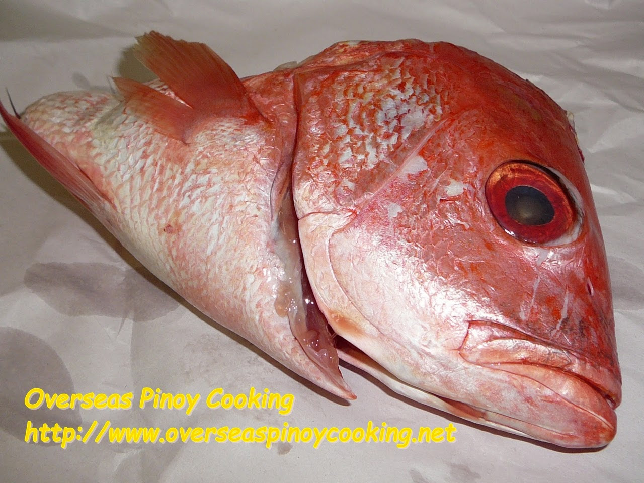 Fish Head