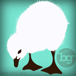  photo Goslings-150.png