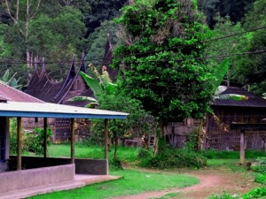 Parumahan penduduk di dekat surau