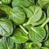 FOOD THAT PROMOTES HAIR GROWTH 
