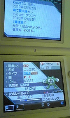 育成 ニョロボン エレキブルを使いたい