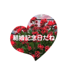 結婚記念日16 Lineスタンプ Tapi