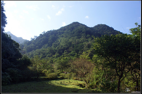 DSC09331