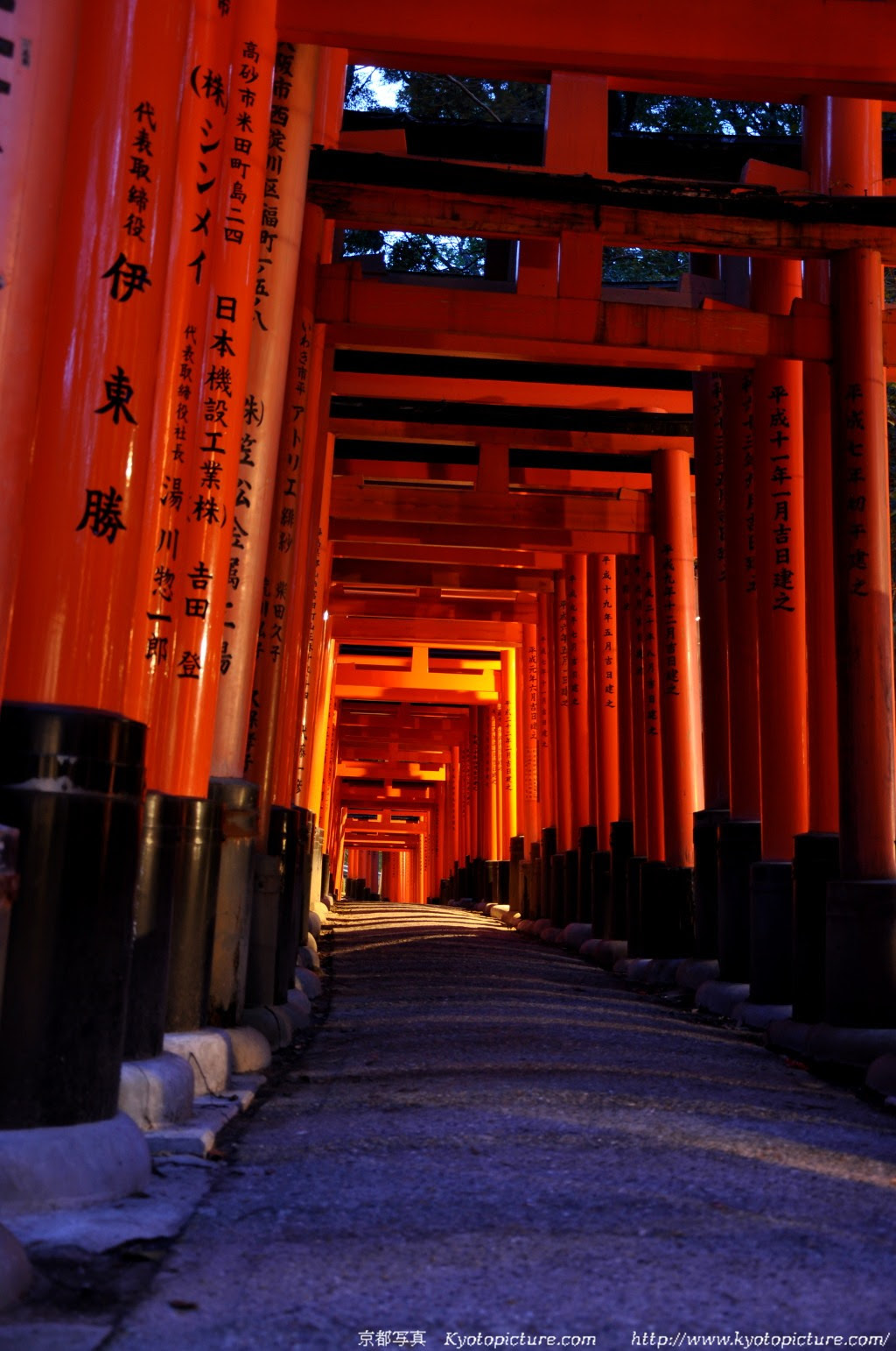 伏見稲荷からの夜景壁紙写真