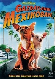 Gazdátlanul Mexikóban 2008 online film magyar indavideo streaming
szinkronizálás